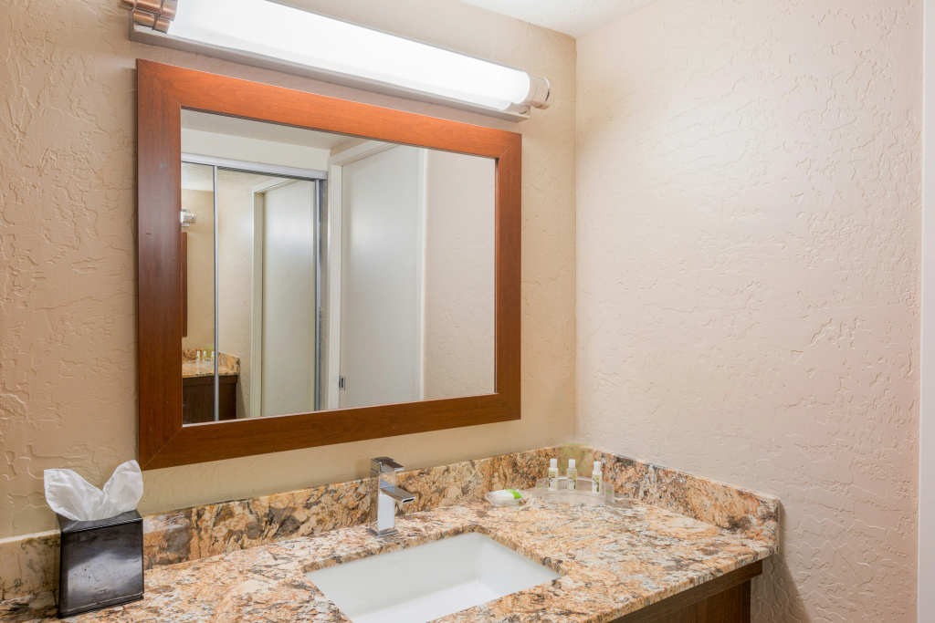 Holiday Inn Resort The Lodge At Big Bear Lake by IHG - Général