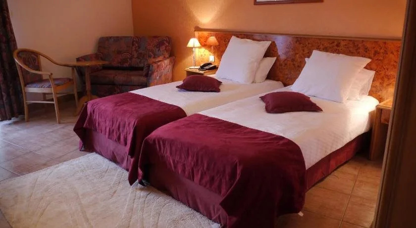 Hotel Sud Alsace