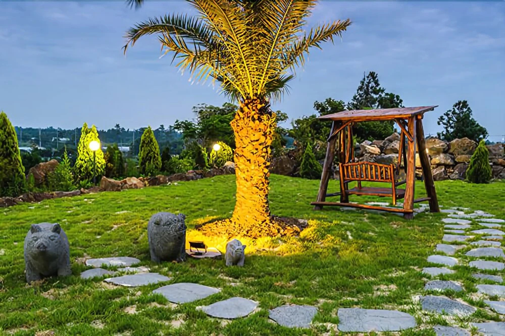 Jeju Whale's Dream Pension