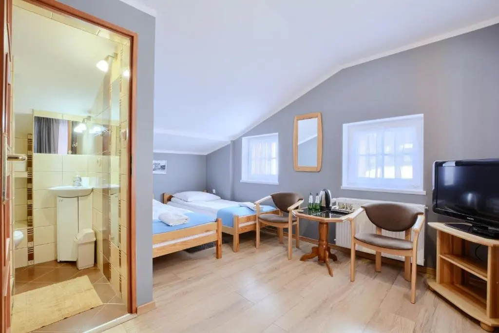Standard Double room with mountain view (full double bed)