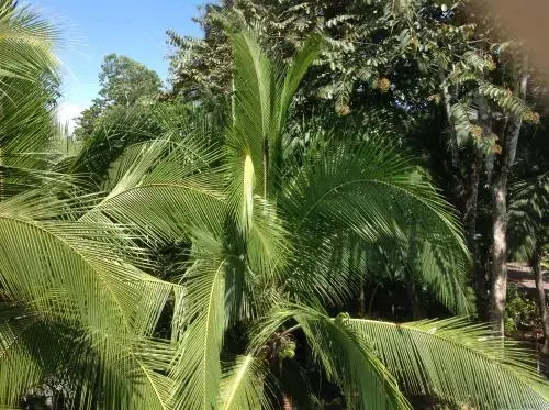 Casa Manglar Guesthouse