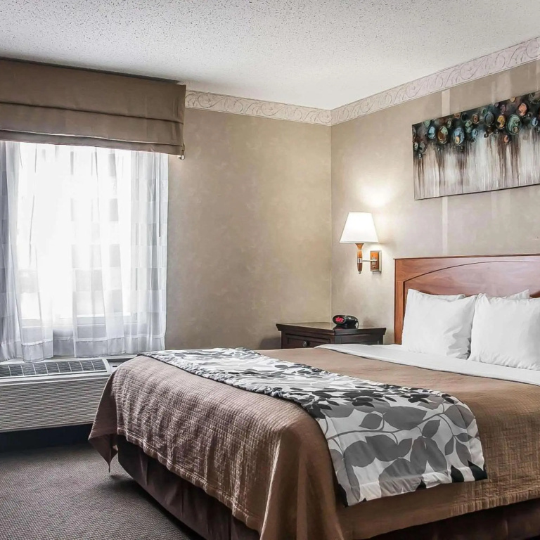 Hotel photo 46