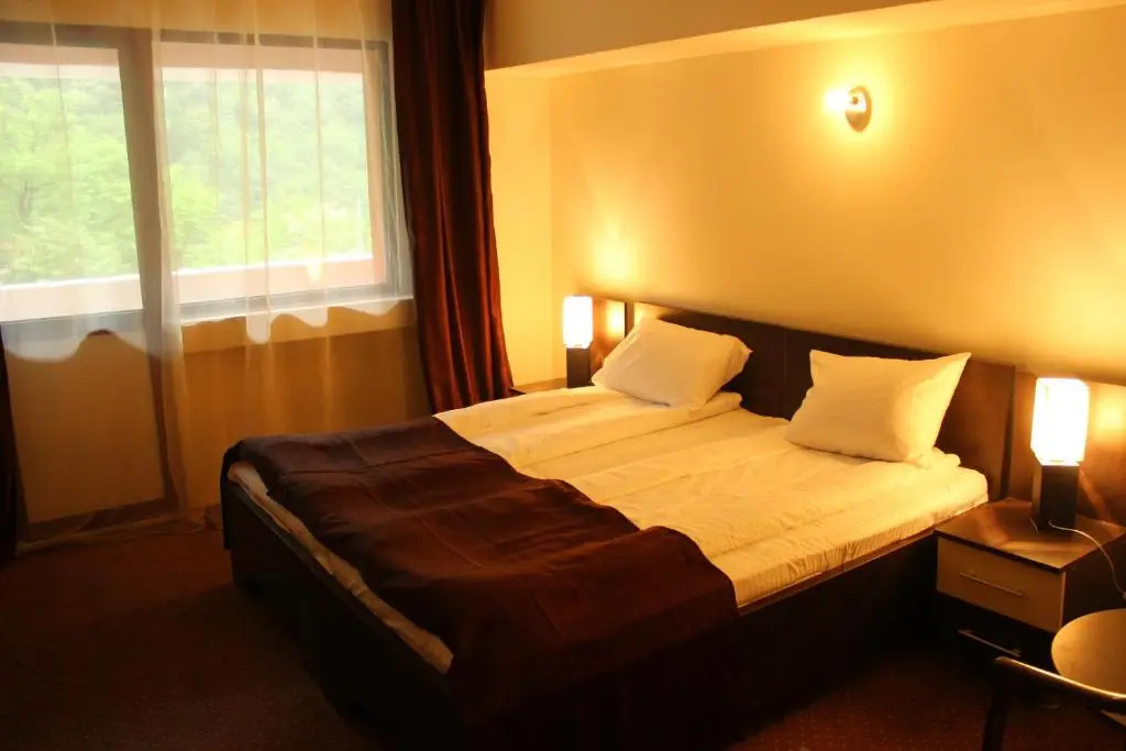 Hotel Domogled - Chambres