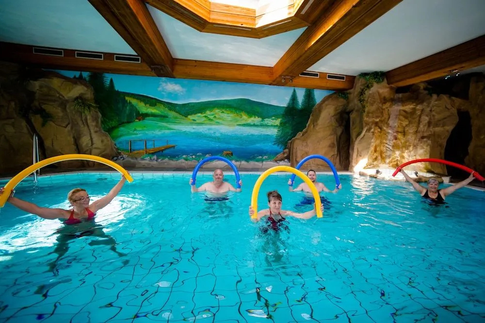 Schwarzwaldhotel Holzschuhs - Général