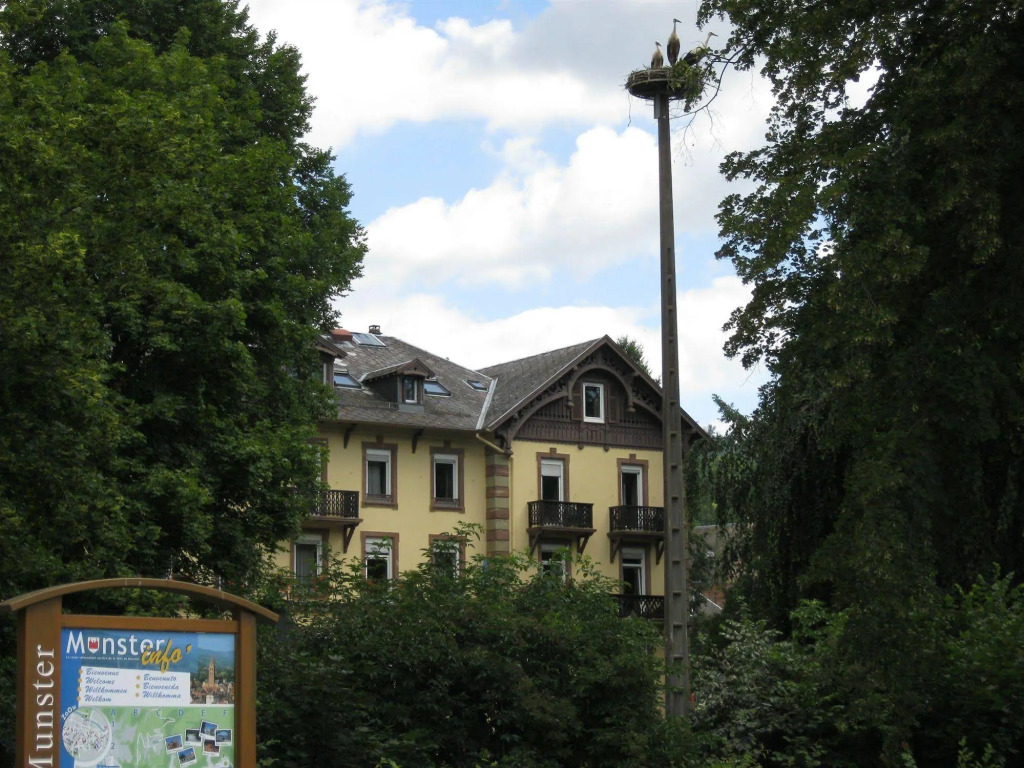 Image 15
