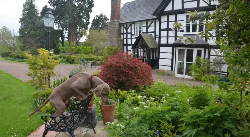 Apple Bough Cottage