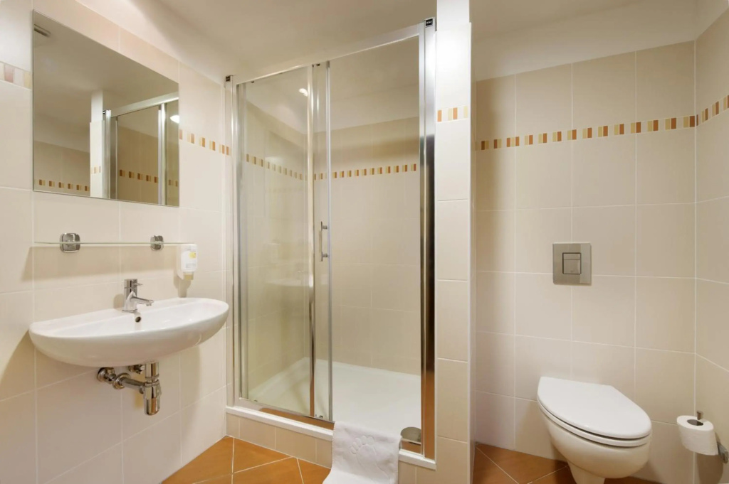 Congress & Wellness Hotel Olsanka - Général