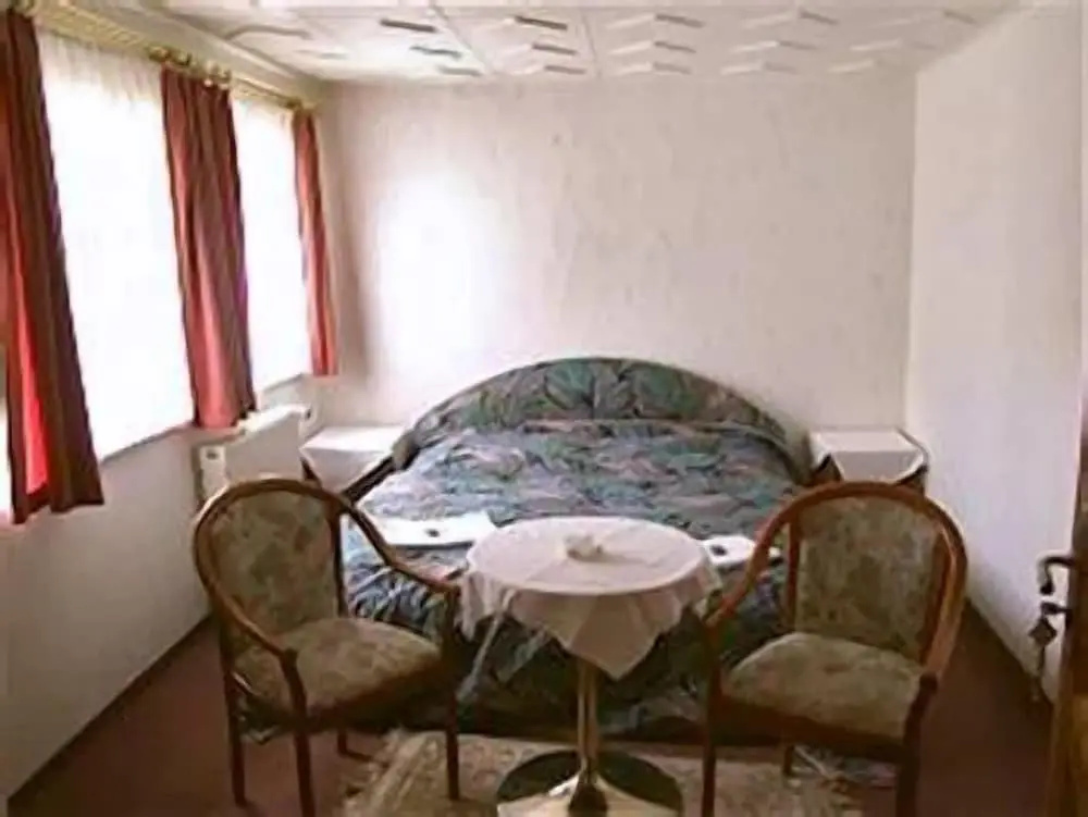 Standard Double room with city view (full double bed)