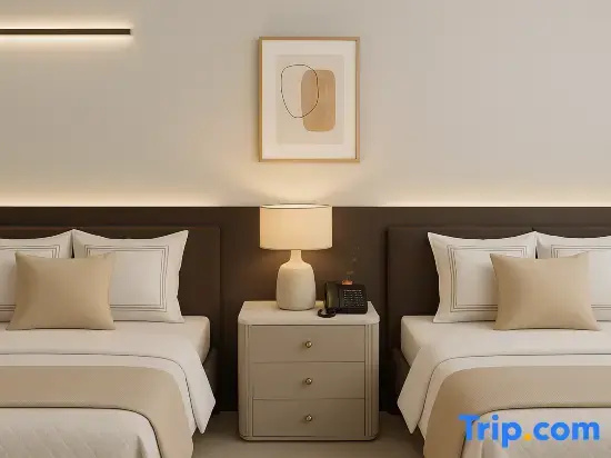 Superior Double room (twin beds)