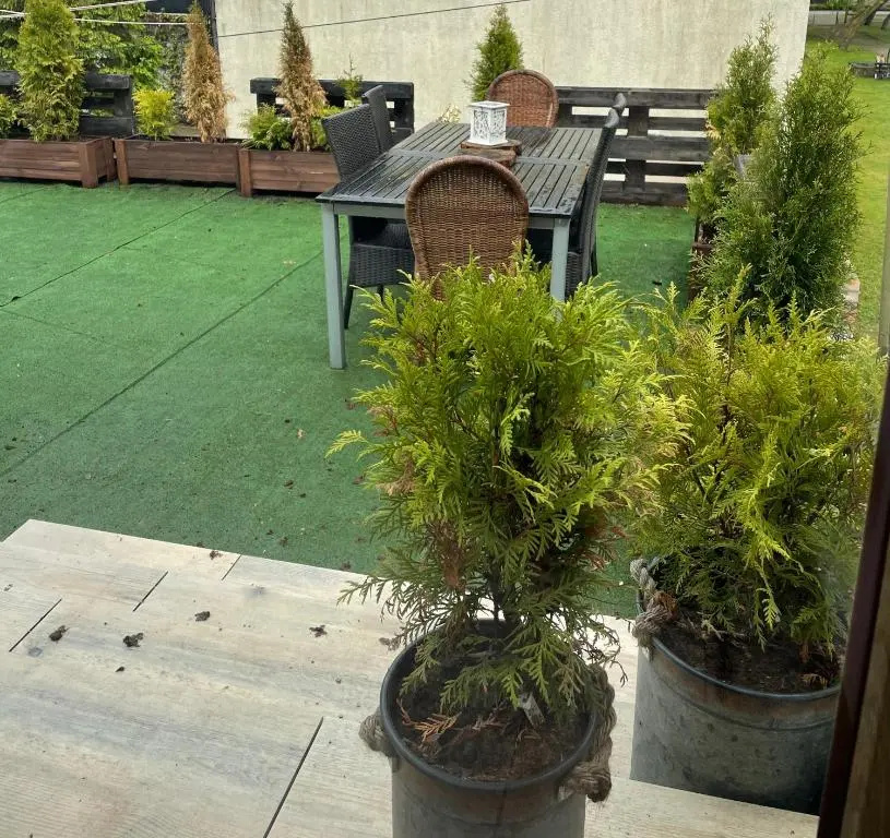 Apartament Atol