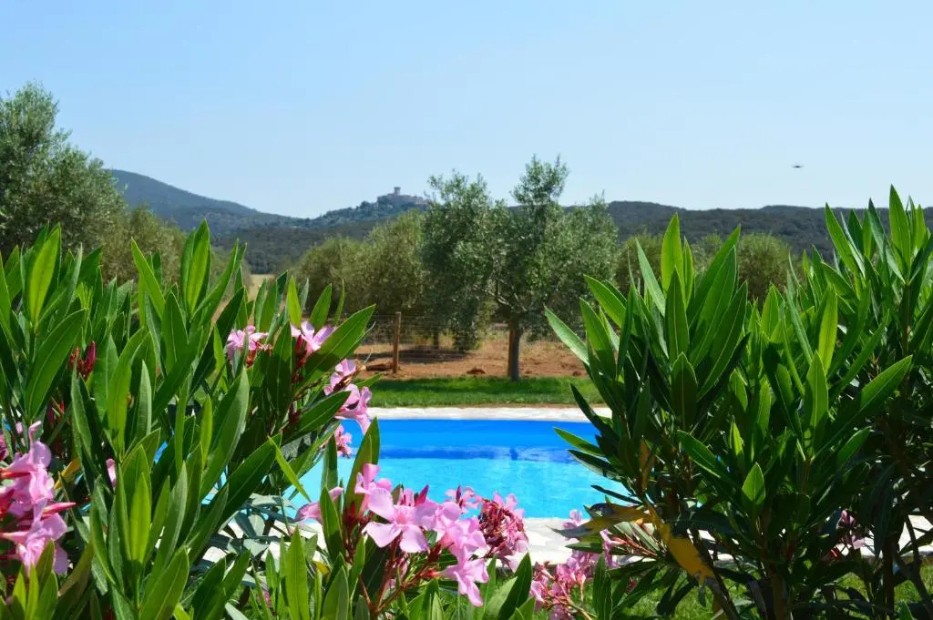 Agriturismo il Portico - Général