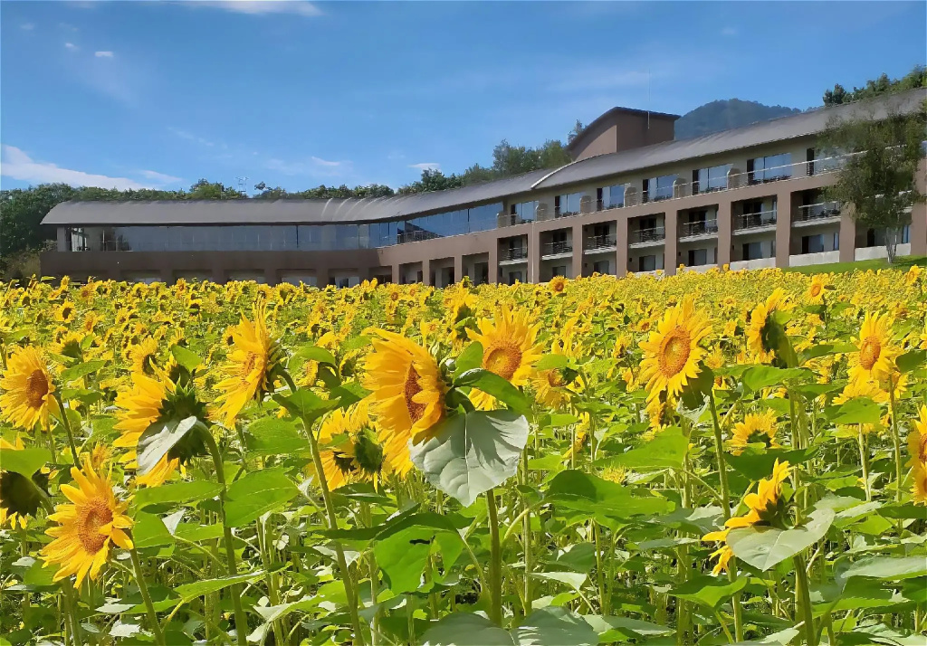 Furano Hotel