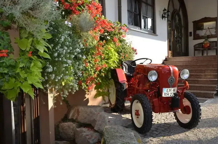 Hotel Riegeler Hof - Général