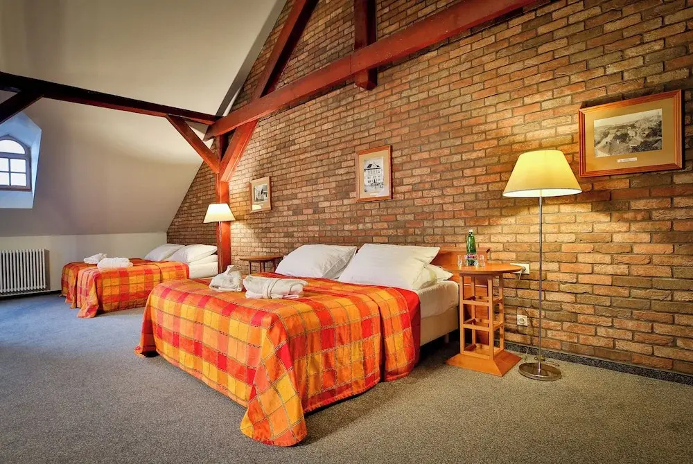 LH Hotel Dvorak Tabor - Général