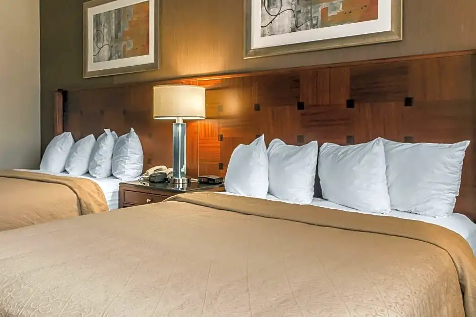 Standard Quadruple Basement room