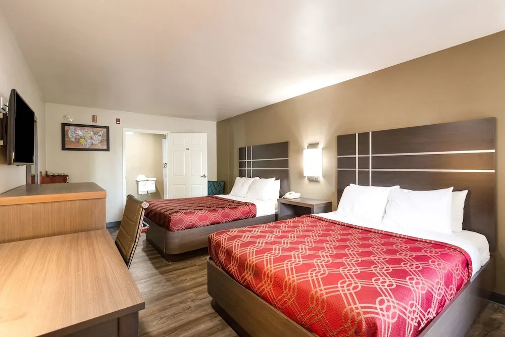 Standard Quadruple Basement room