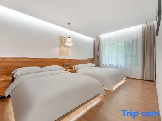 Standard Double room with mountain view (twin beds)