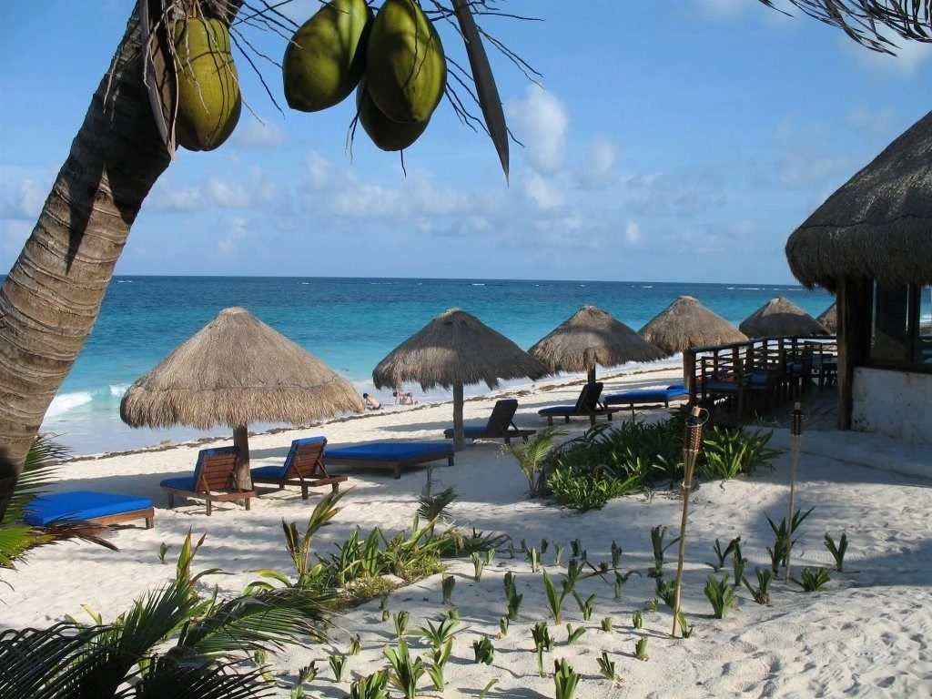 Beach & Waterfront