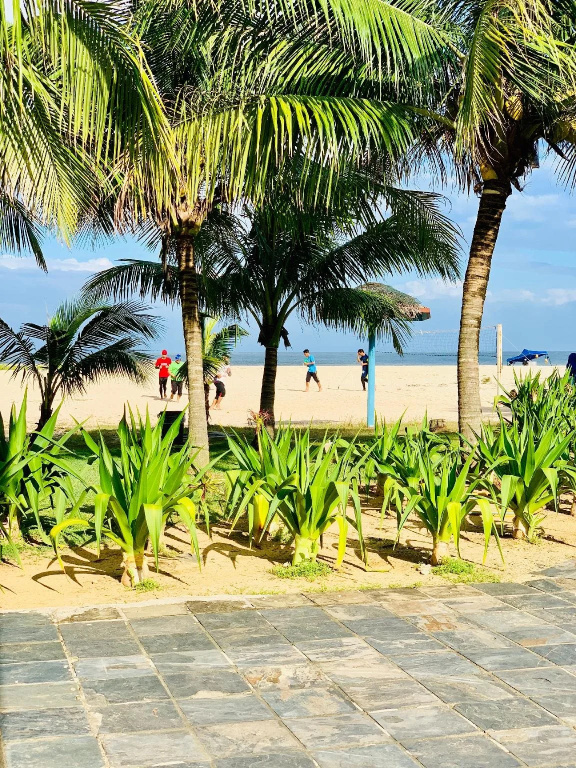 Beach & Waterfront