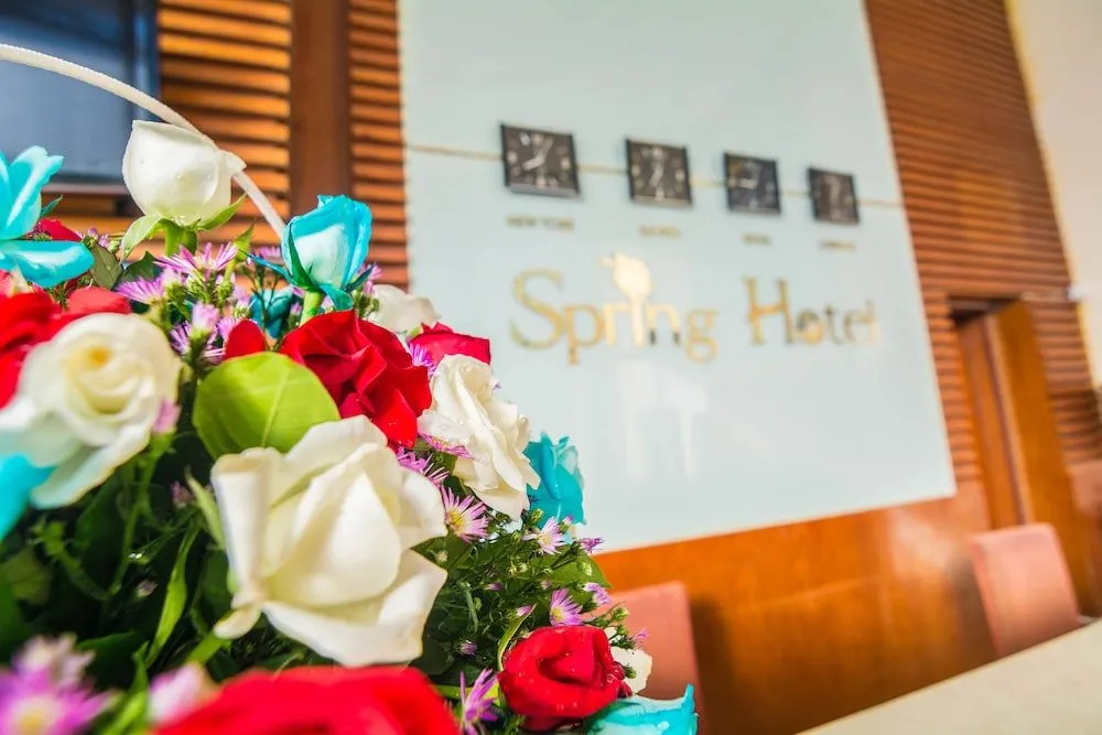 Spring Hotel - Général