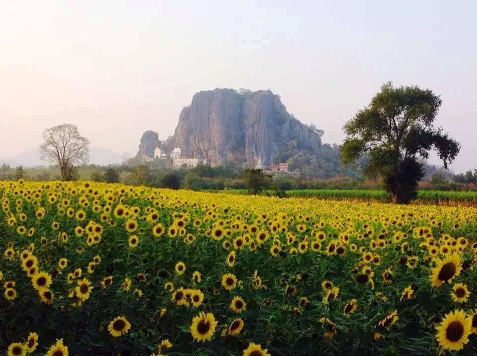 Pang Narai Resort