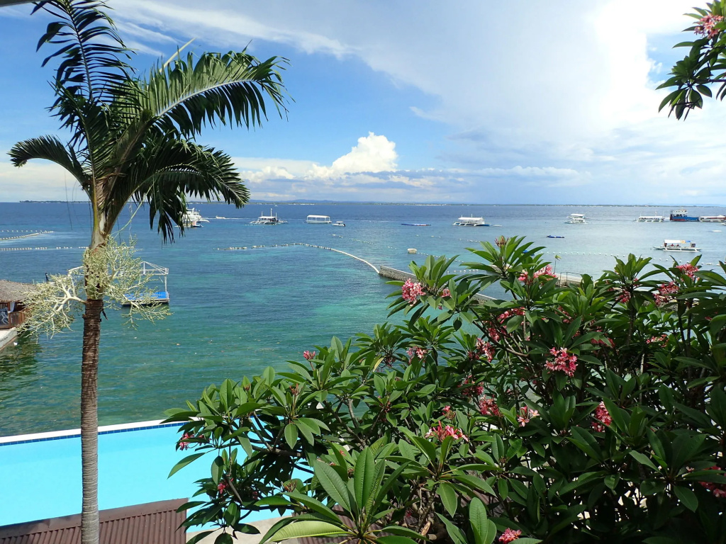 Aozora Seaside Mactan - Général