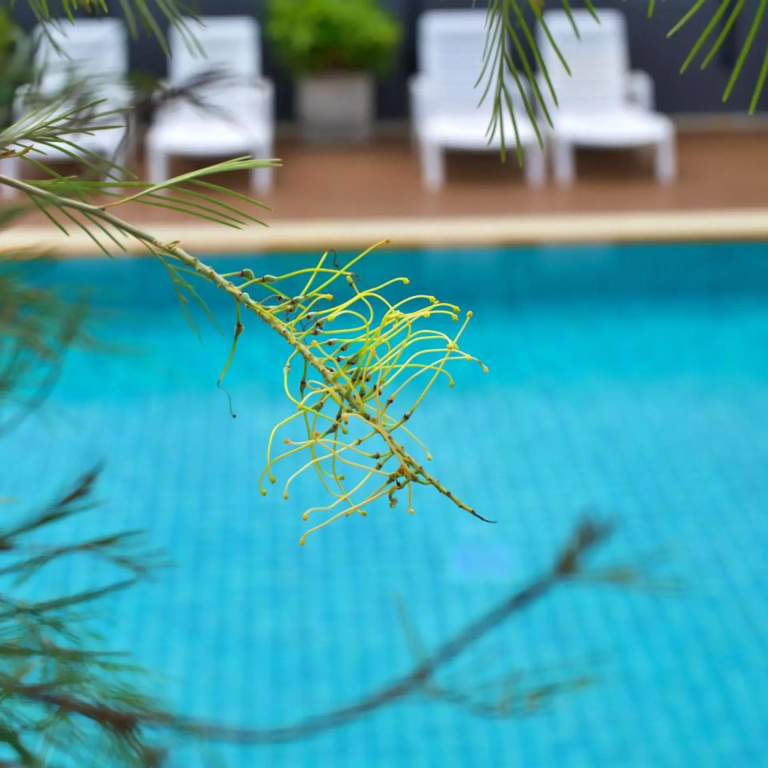 Hotel photo 27