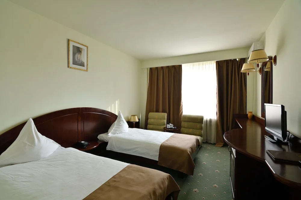Standard Double room with city view (twin beds)