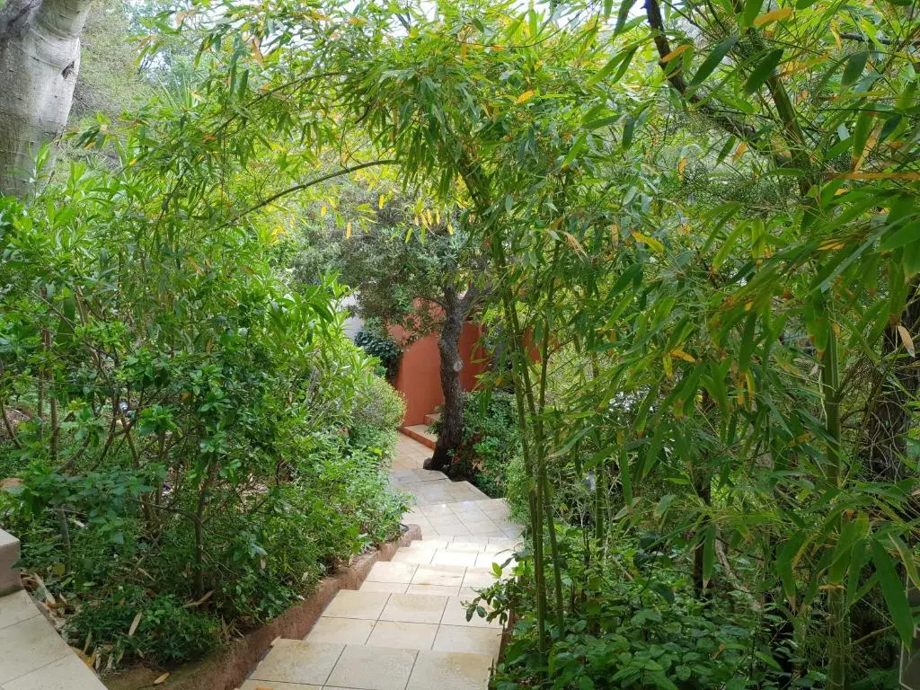 Superior Double room with garden view (full double bed)