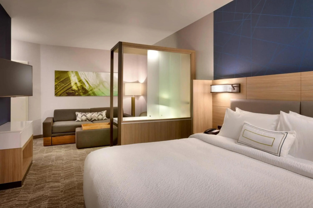 SpringHill Suites Idaho Falls - фото 5