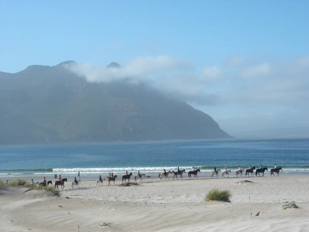 Beach & Waterfront