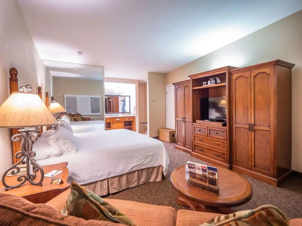 Deluxe Double room (full double bed)