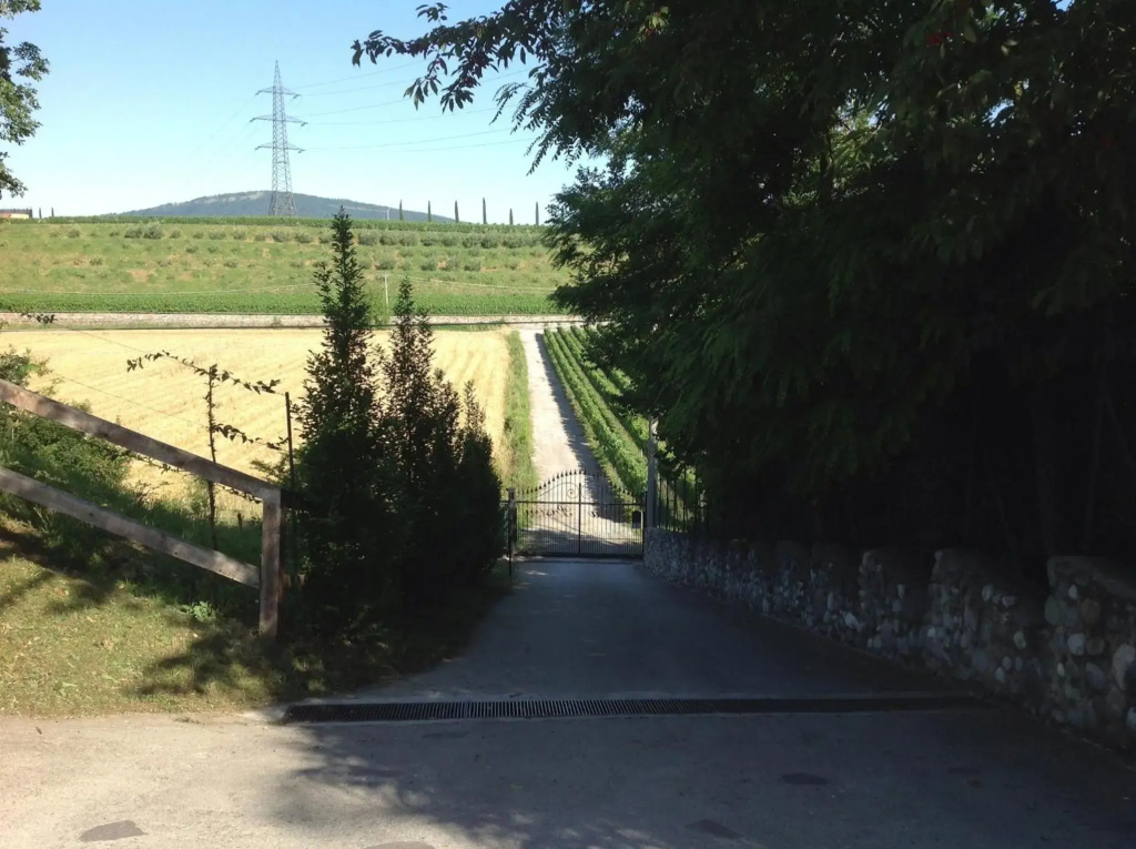 Hotel photo 36