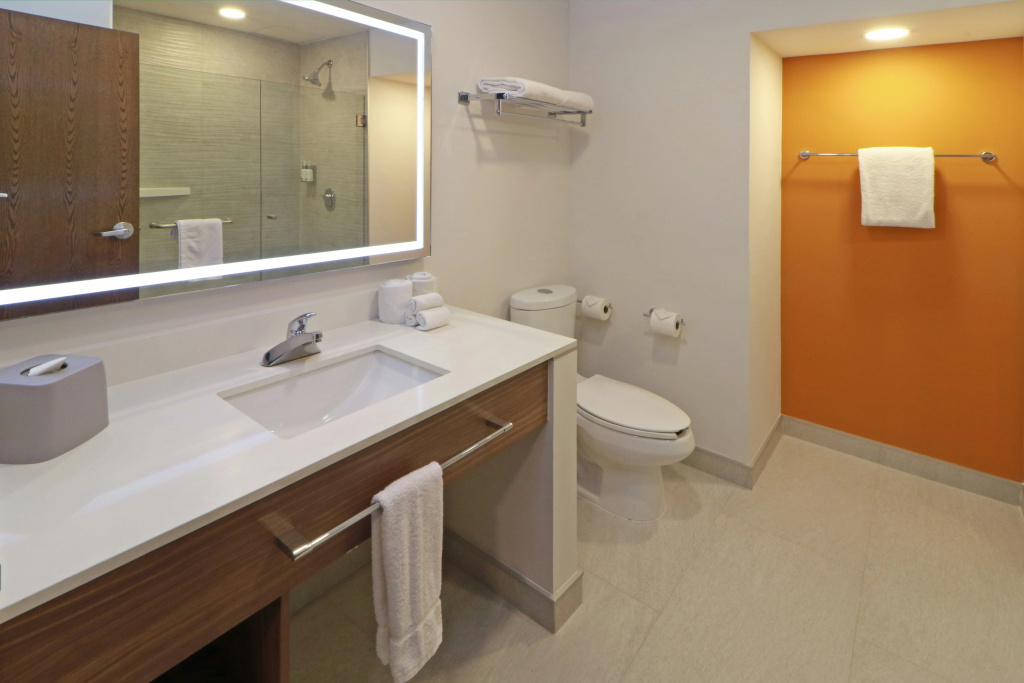 Holiday Inn Express San Luis Potosi by IHG - Général