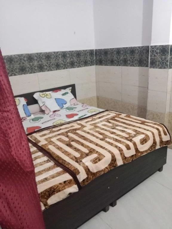 Spot On 92658 Tannu Guest House