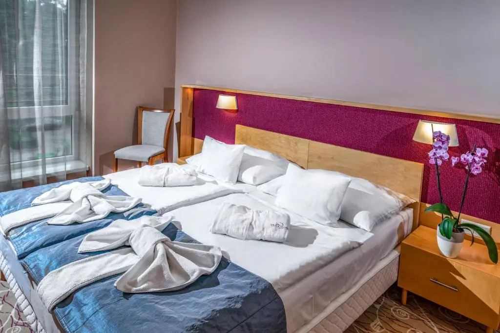 Dráva Hotel Thermal Resort - Chambres
