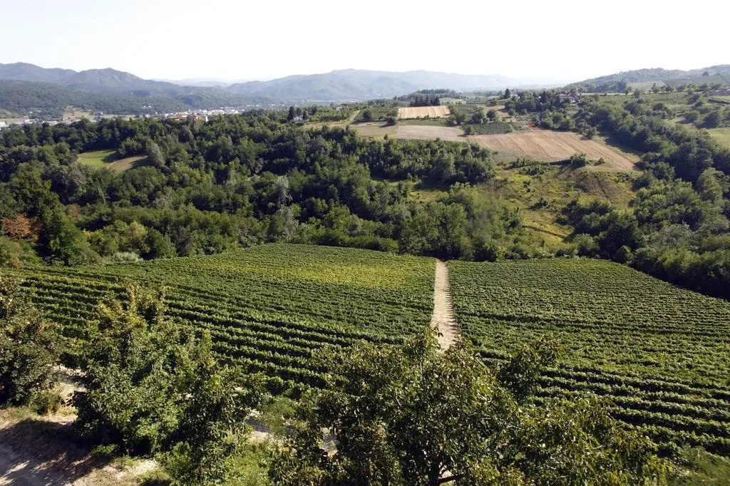 Castello di Grillano