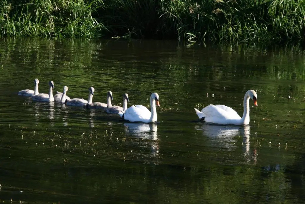 Le Gite Du Breux - фото 6