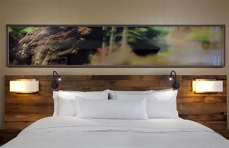 Viewline Resort Snowmass, Autograph Collection - Chambres