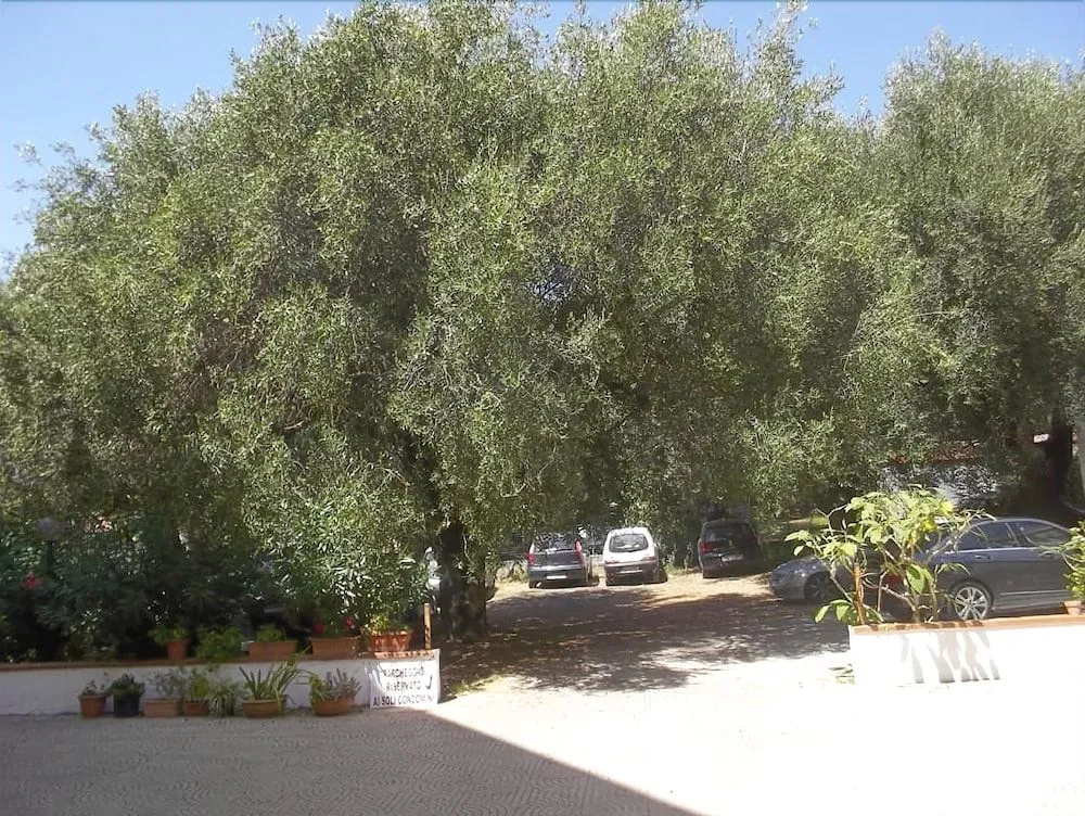 B&B Cialoma
