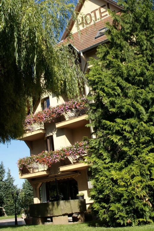 Hotel photo 12