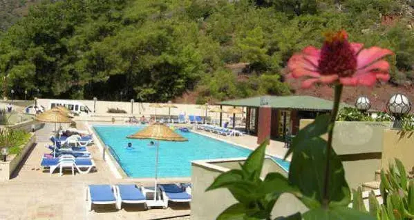 Panorama Park Hotel - фото 2