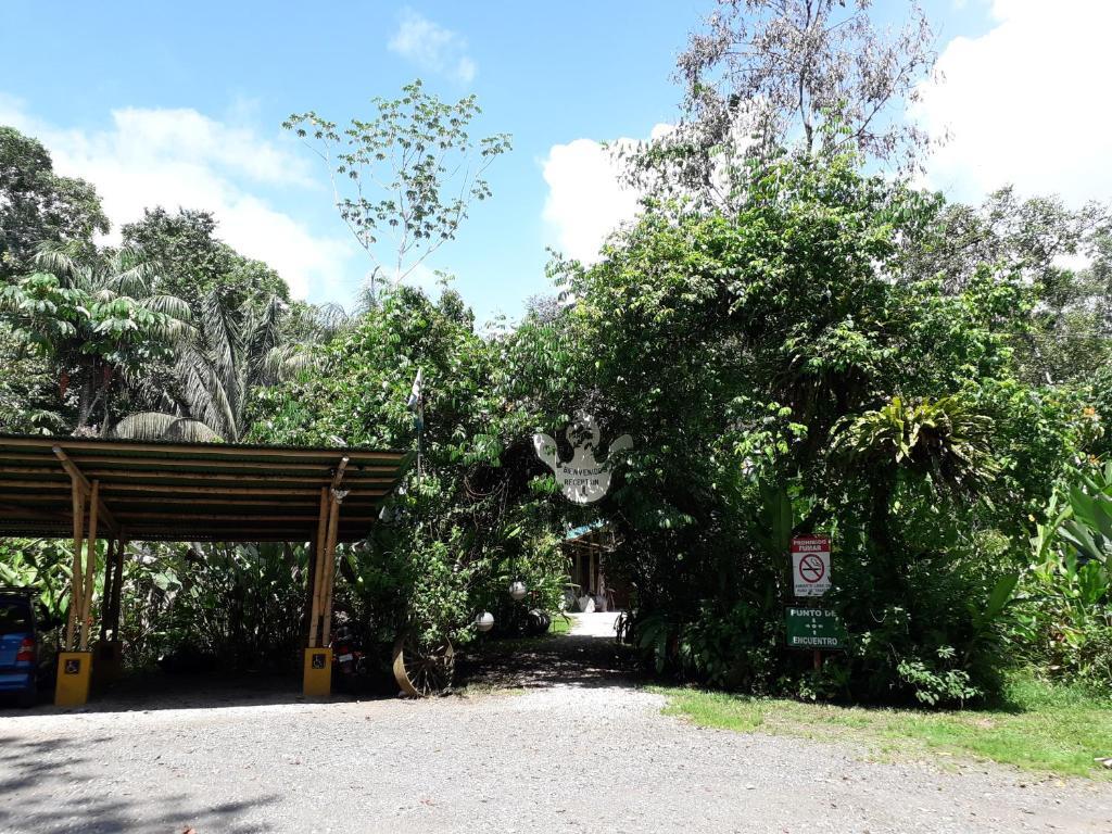 Danta Corcovado Lodge picture