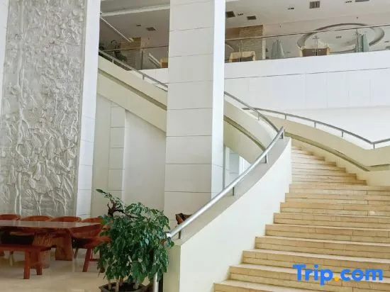Balcony & Terrace