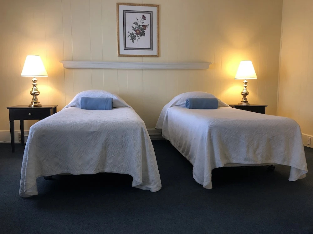 Standard Double room (twin beds)