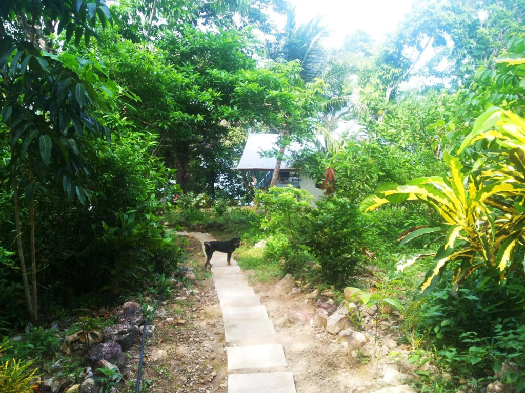 Alam Indah Busuanga Beach and Villas