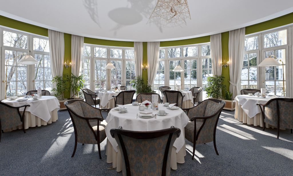 Hotel Villa Weltemühle Dresden - Général