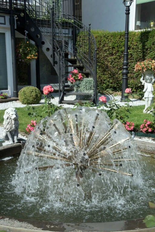 Image 15