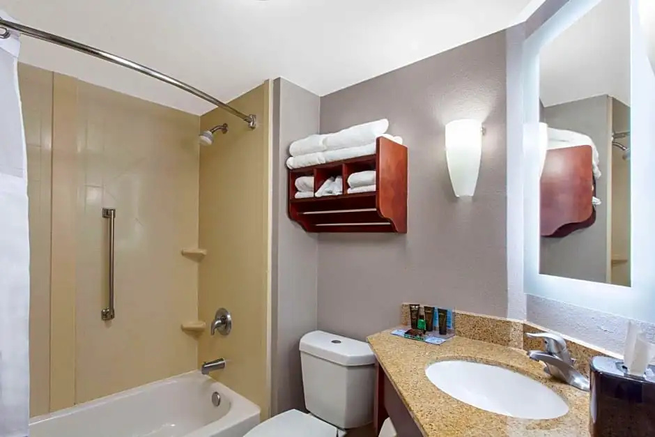 Wingate by Wyndham Charleston Coliseum - Chambres