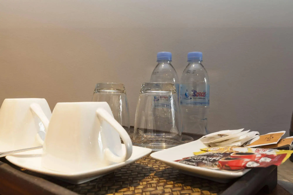 暹粒克罗尼卡酒店(Chronicle Residence & Spa Siem Reap) - Général